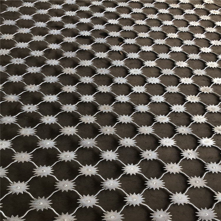 上海梅花刺片隔離網圖片4