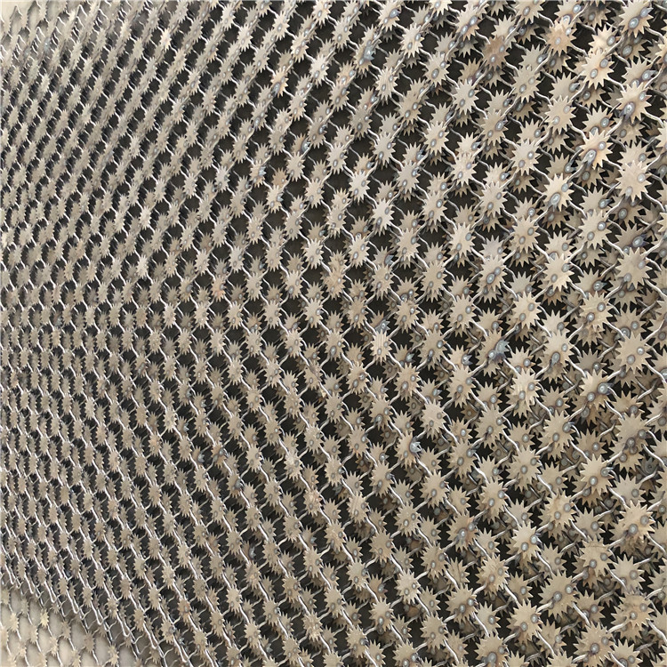 上海監獄太陽花刺鋼網墻圖片3