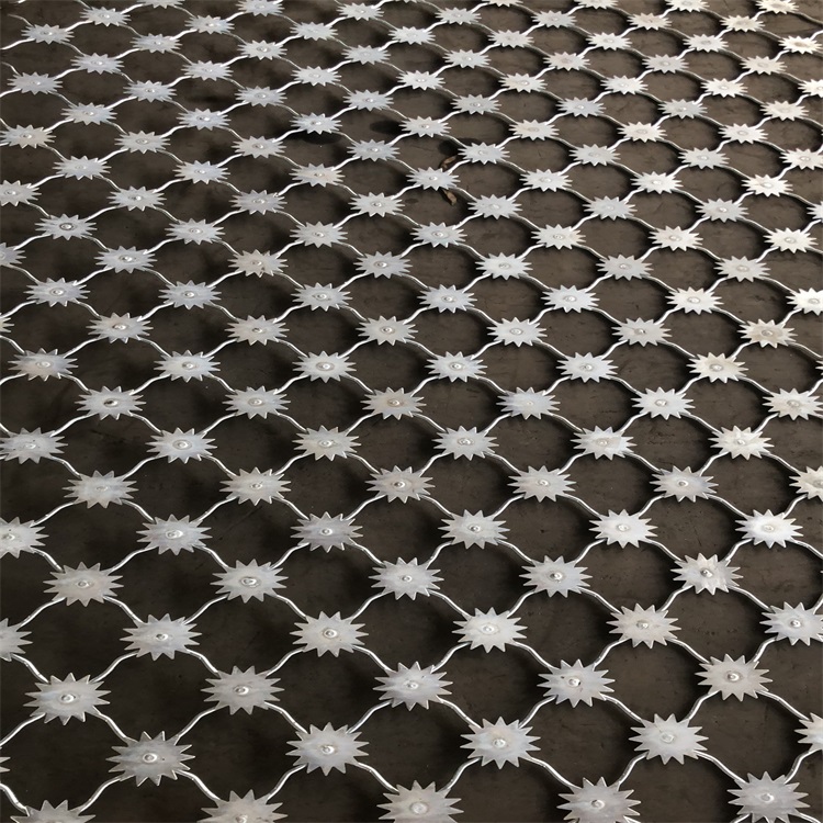 上海監獄梅花刺片防護網圖片4