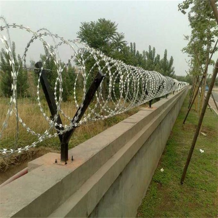 上海帶刺圍墻網圖片4