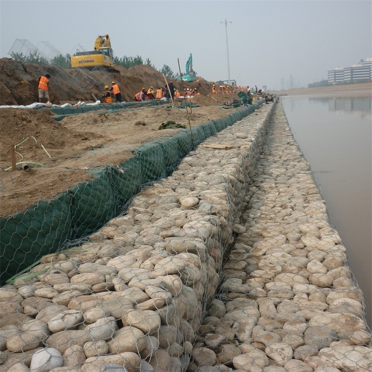 上海生態格網護墊圖片2