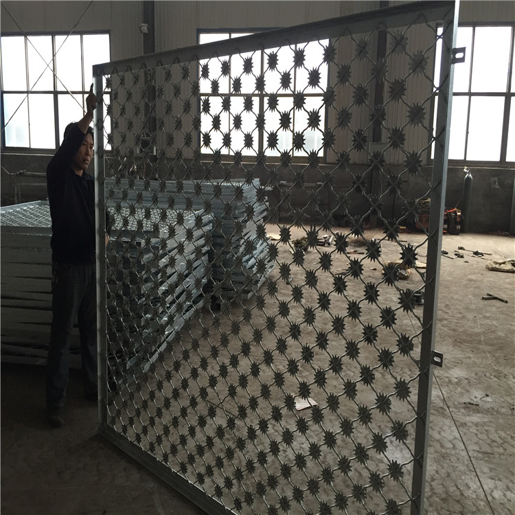 梅花刺片防護網圖片1