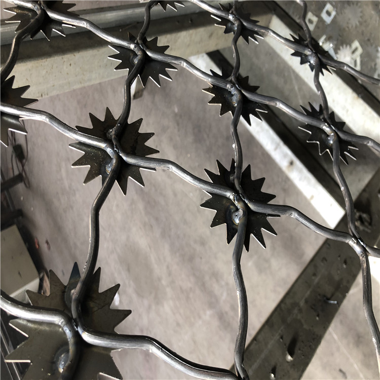 梅花刺片防護網圖片4