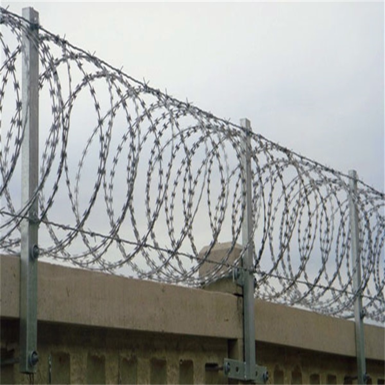 上海刺絲滾籠圖片2