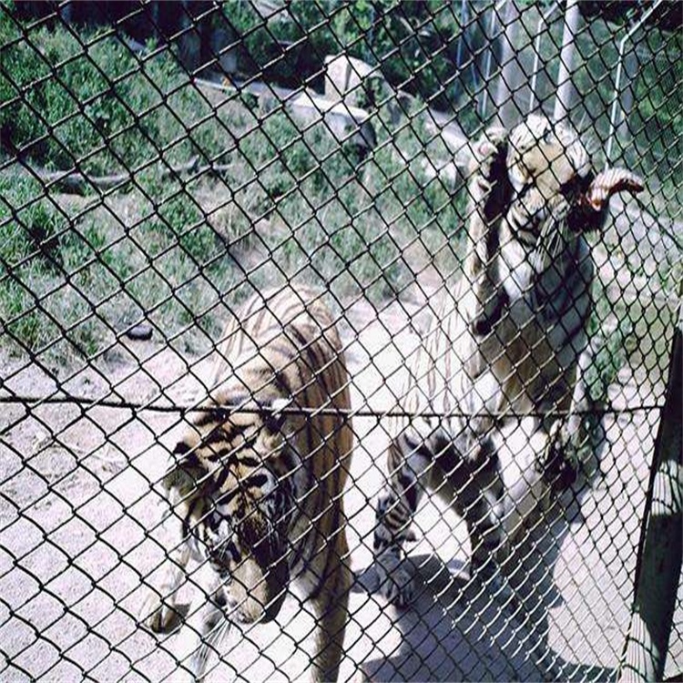 上海動物園圍欄網圖片2