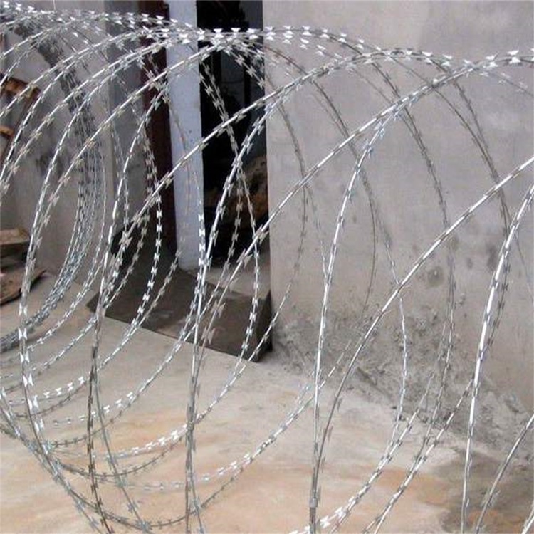 上海高鐵刺絲滾籠圖片2