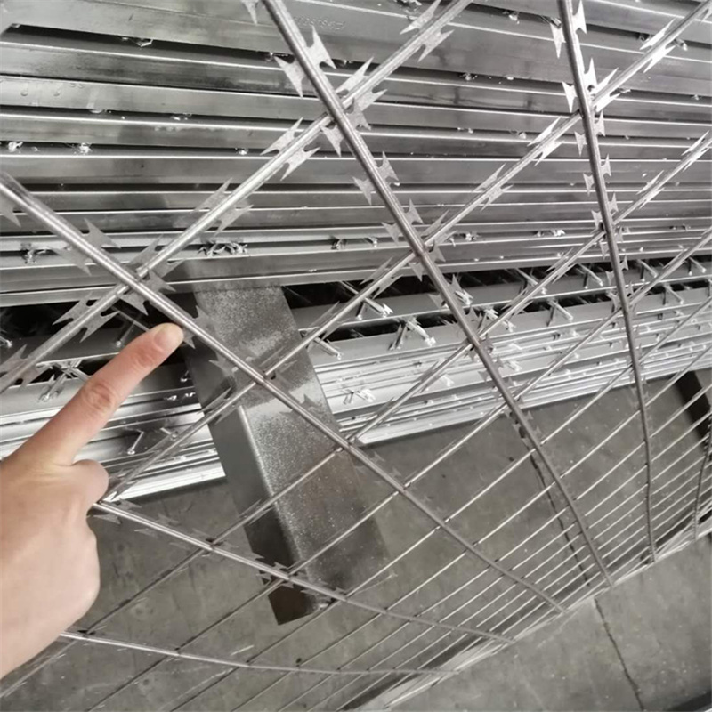 上海直線刀片隔離網圖片2