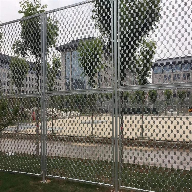 看守所梅花刺鋼網墻圖片4