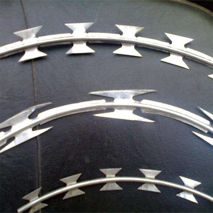 熱鍍鋅刺繩圖片3