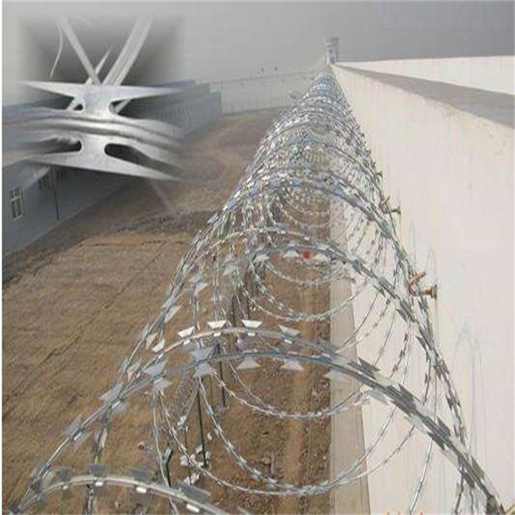 上海不銹鋼刺繩護欄網圖片1