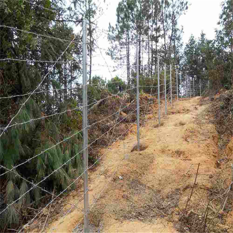鐵蒺藜隔離網圖片4