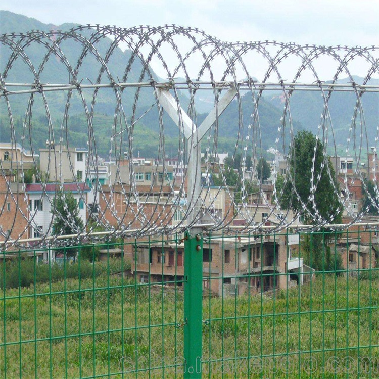 邊防隔離柵圖片3