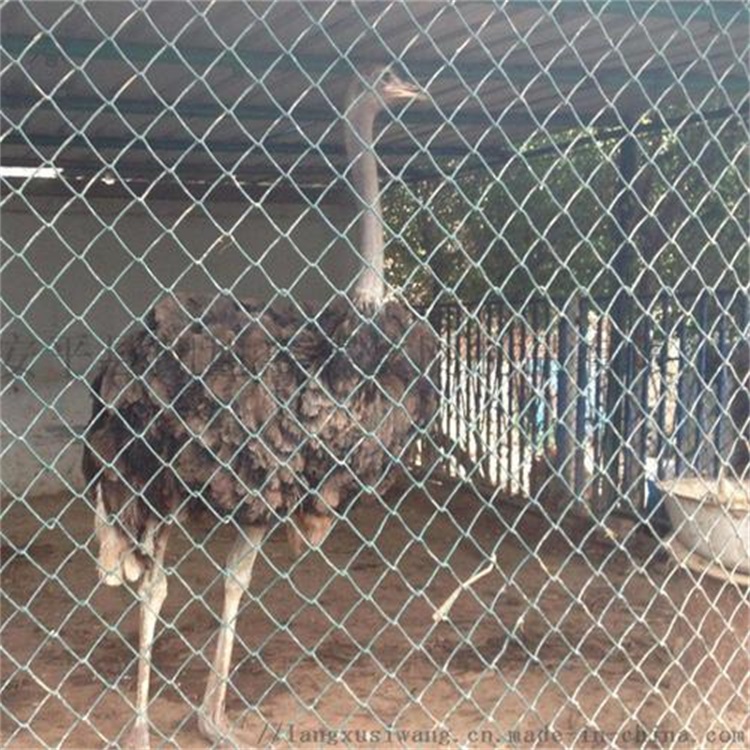 生態修養圍欄圖片4