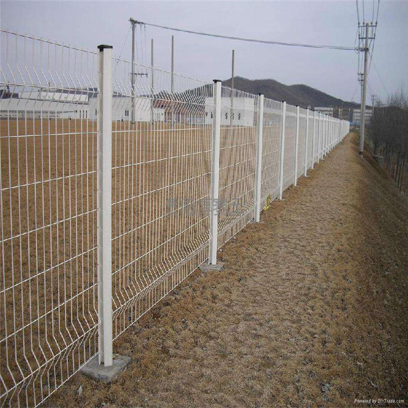 異性護欄網圖片1