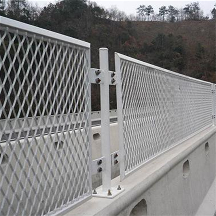 上海防眩網(wǎng)圖片4