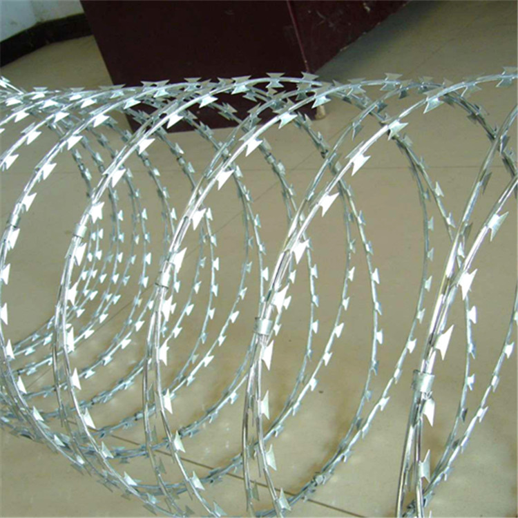 上海不銹鋼刀刺網圖片2