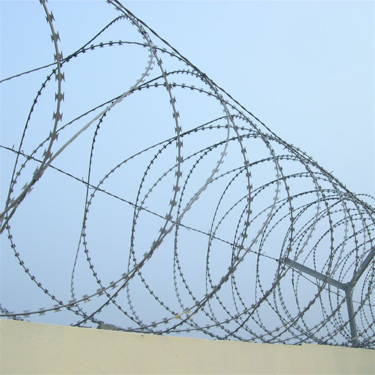 上海螺旋刀刺網圖片2