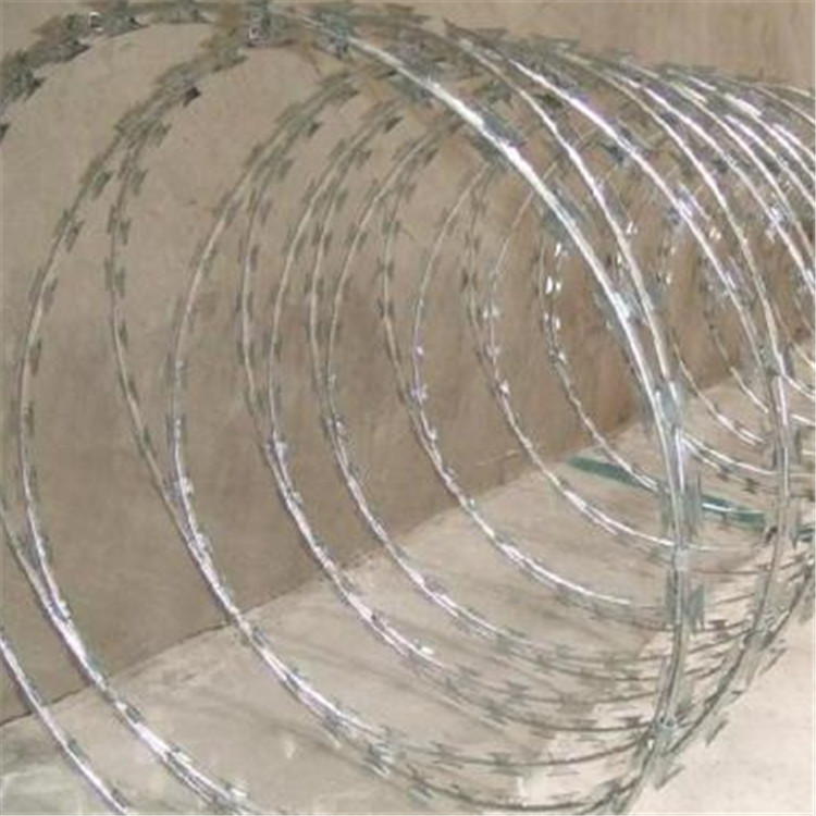 上海螺旋刀刺網圖片3