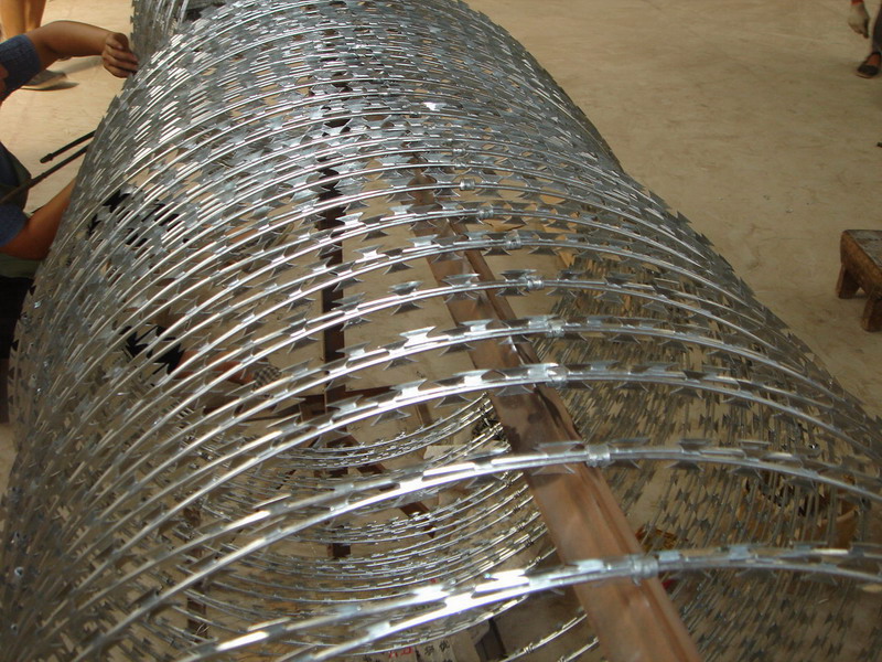 上海304防爬刺刀圈隔離網圖片4