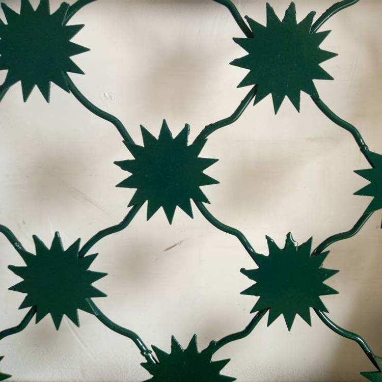 監獄梅花刺片隔離鋼網墻圖片3