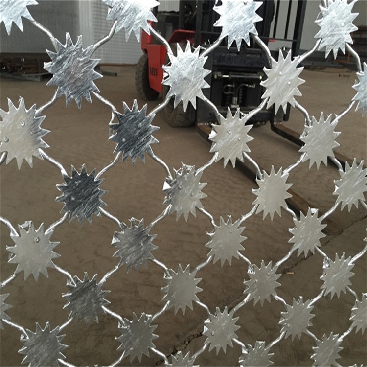 上海監獄梅花刺片鋼網墻圖片1