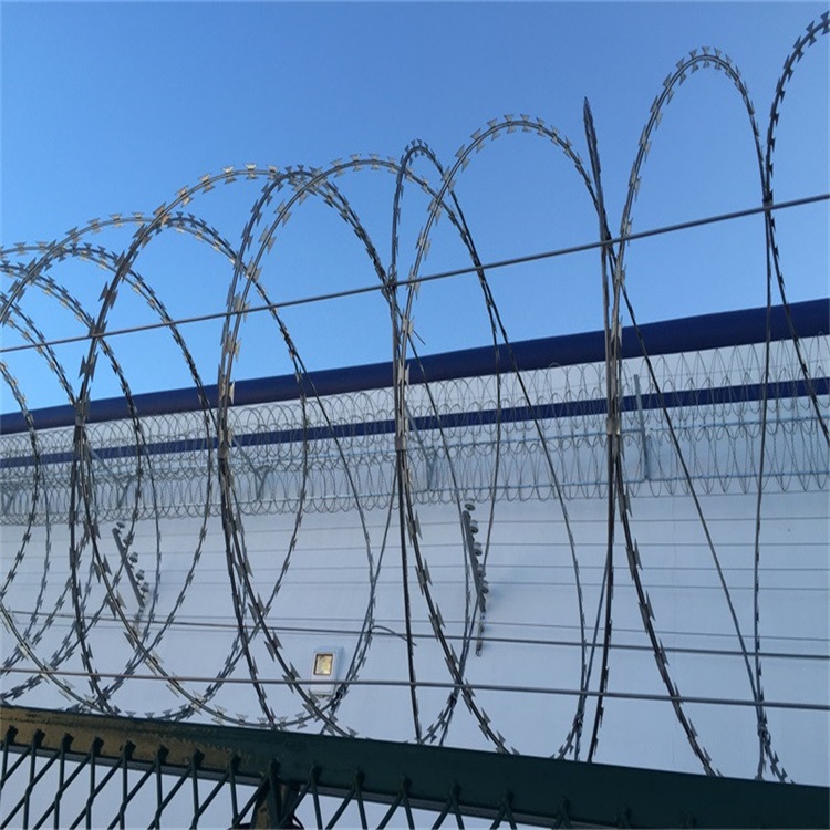 上海蛇腹型刀刺網圖片3