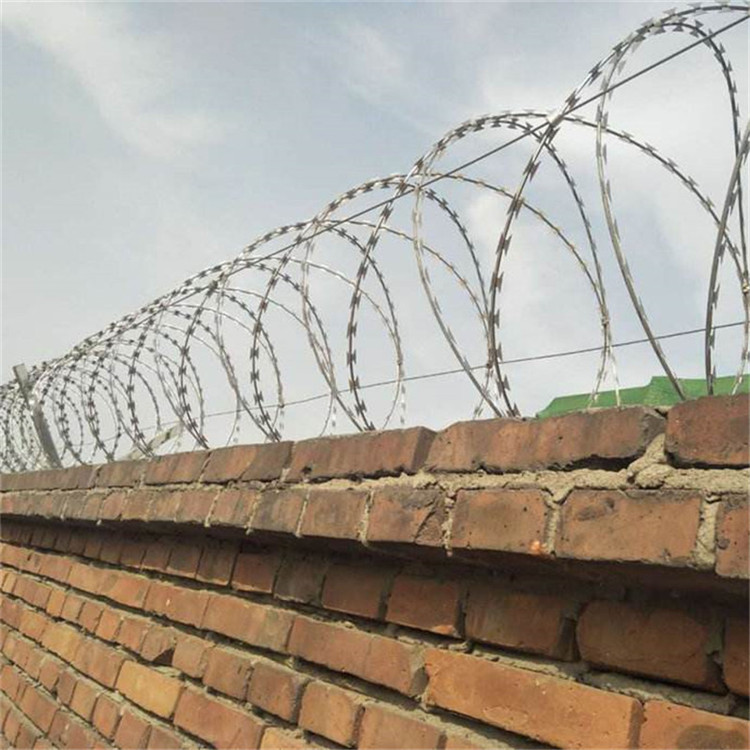 上海鐵路刺絲滾籠圖片2