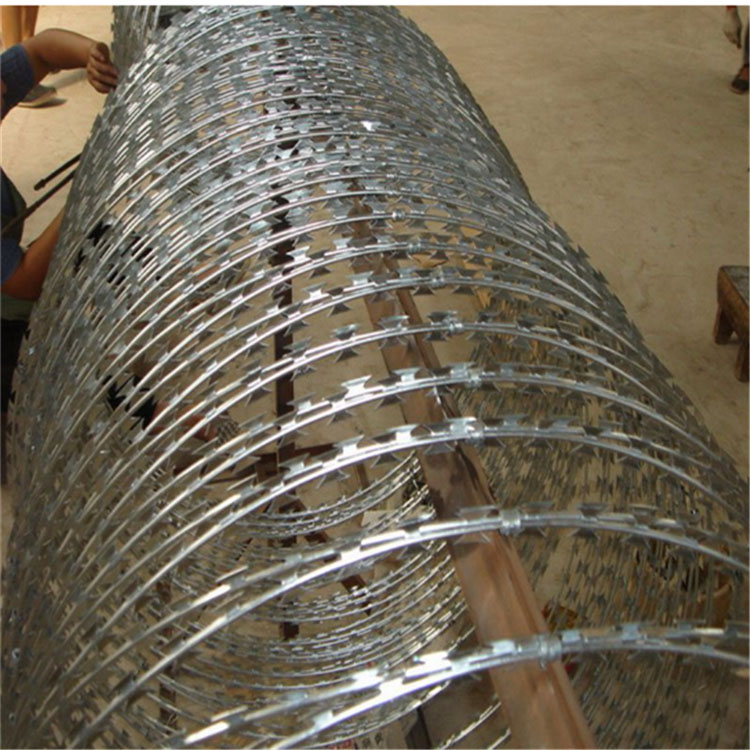 上海鐵路刺絲滾籠圖片3