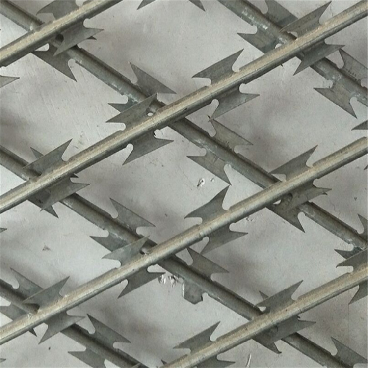 上海監獄焊接刀刺網