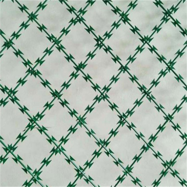 上海監(jiān)獄焊接刀刺網(wǎng)圖片2